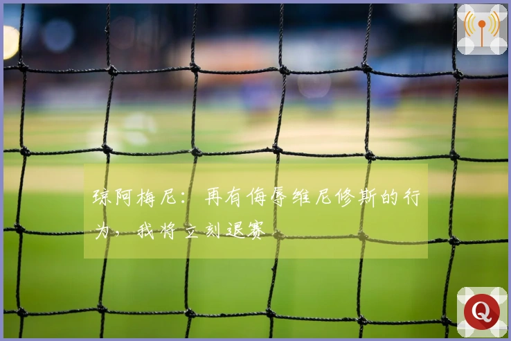 琼阿梅尼：再有侮辱维尼修斯的行为，我将立刻退赛