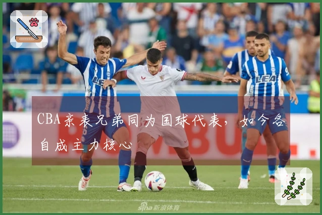 CBA亲表兄弟同为国球代表，如今各自成主力核心