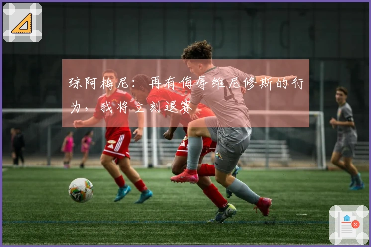 琼阿梅尼：再有侮辱维尼修斯的行为，我将立刻退赛