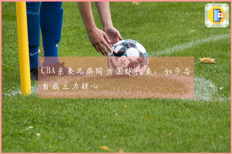 CBA亲表兄弟同为国球代表，如今各自成主力核心